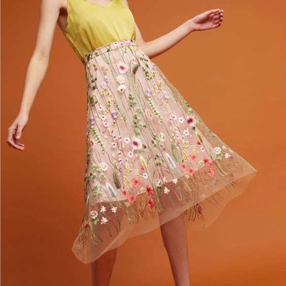 Eva Franco Dresses & Skirts - Anthropologie - Eva Franco La Fayette Waverly Garden Skirt